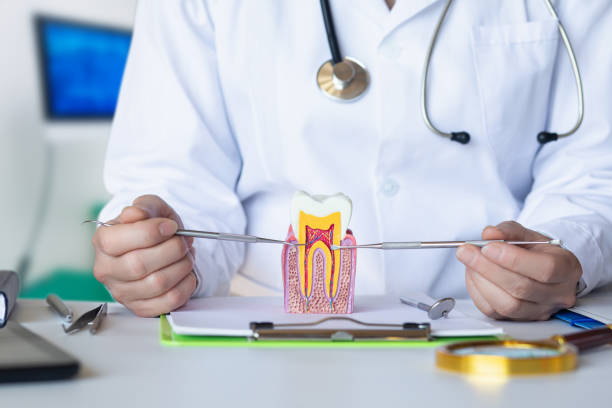 Best Emergency Dentist for Lost Fillings or Crowns in Orland, CA